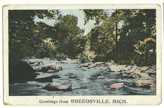 Breedsville MI Michigan Water Trees Beautiful Greeting  Postcard