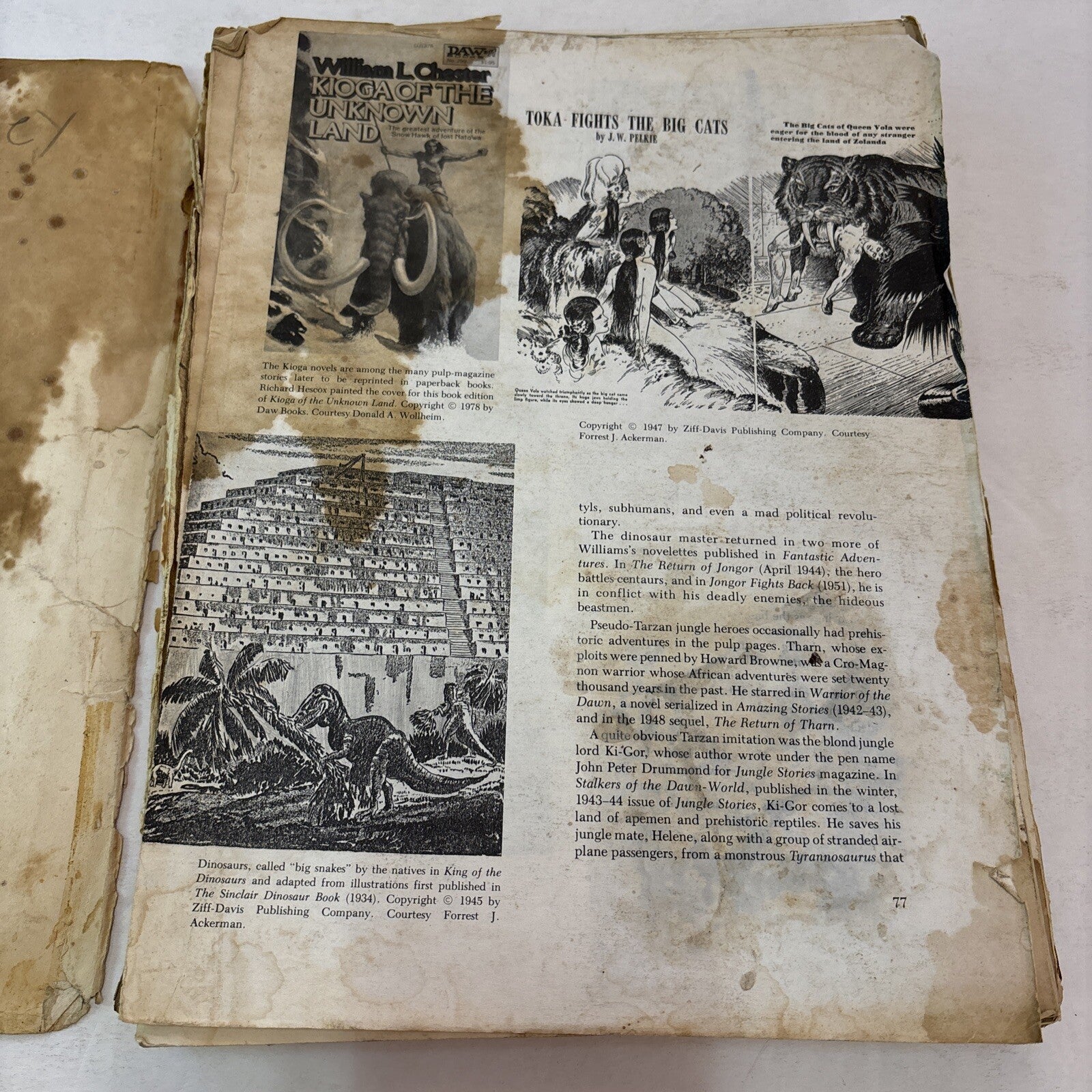 THE DINOSAUR SCRAPBOOK Book B&W Illustrated Donald Glut