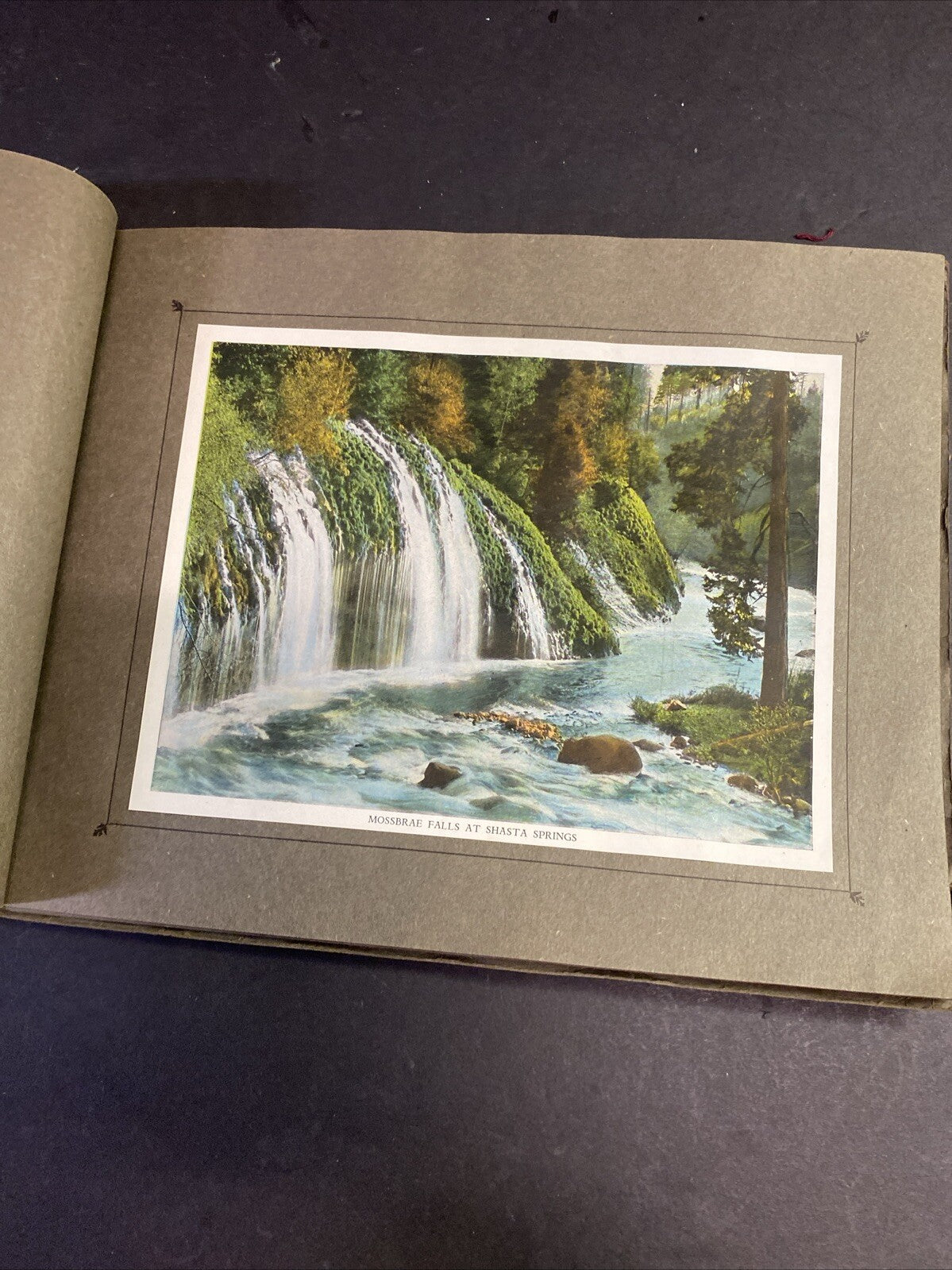 Antique The Shasta Route Along the Southern Pacific Railroad Pictorial Book 1915