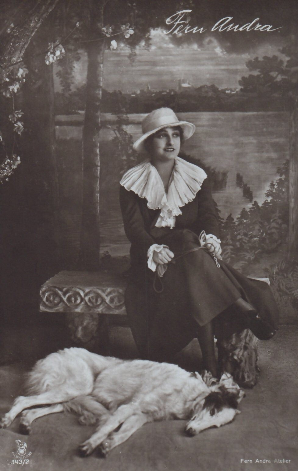 RPPC German Actress Fern Andra Atelier with Longhaired Greyhound Famous Postcard