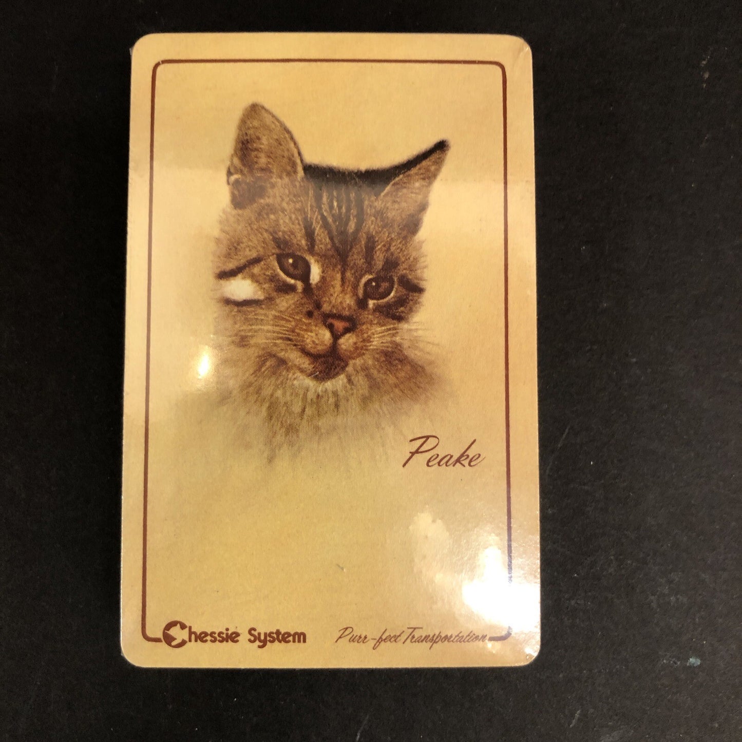 NIB Sealed Chesapeake & Ohio Railway Chessie & Peake Cat Playing Cards Purr-fect