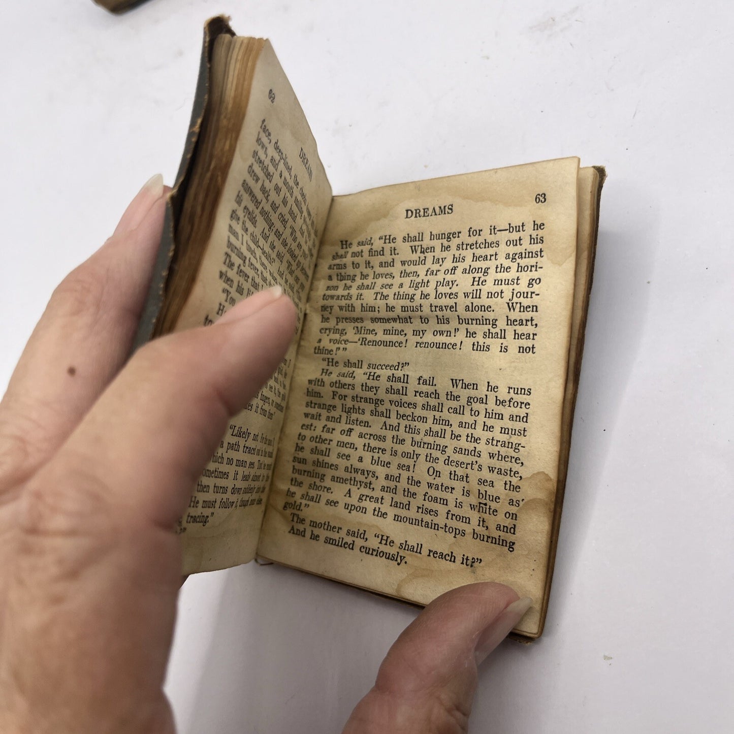 Little Leather Library Book - Dreams by Schreiner - 