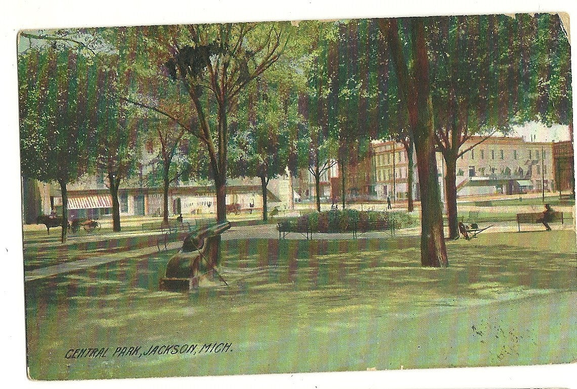 Central Park Jackson MI Michigan  Postcard