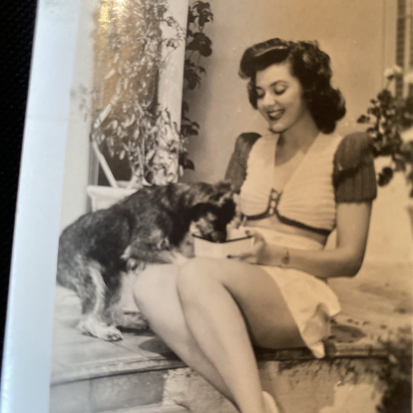 Real Photo  Ann Rutherford With Dog  2.5" x 4" Hollywood Movie Star Fan Club