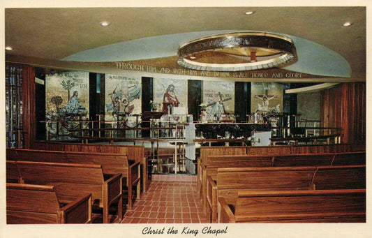 Shrine Of Our Lady Of The Snows Belleville Chicago Illinois IL Postcard