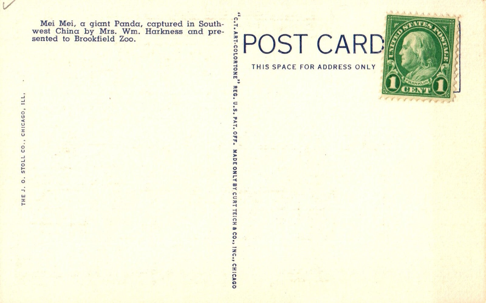 Giant Panda at the Brookfield Zoo in Chicago Panda Bear Animal Postcard