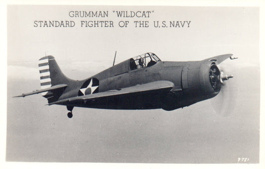 Grumman Wildcat Standard Fighter of US Navy Vintage Airplane Real Photo Postcard