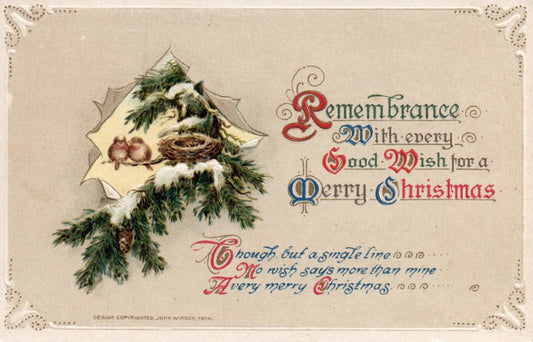 John Winsch Wish for A Merry Christmas Birds in Tree with Nest Vintage Postcard