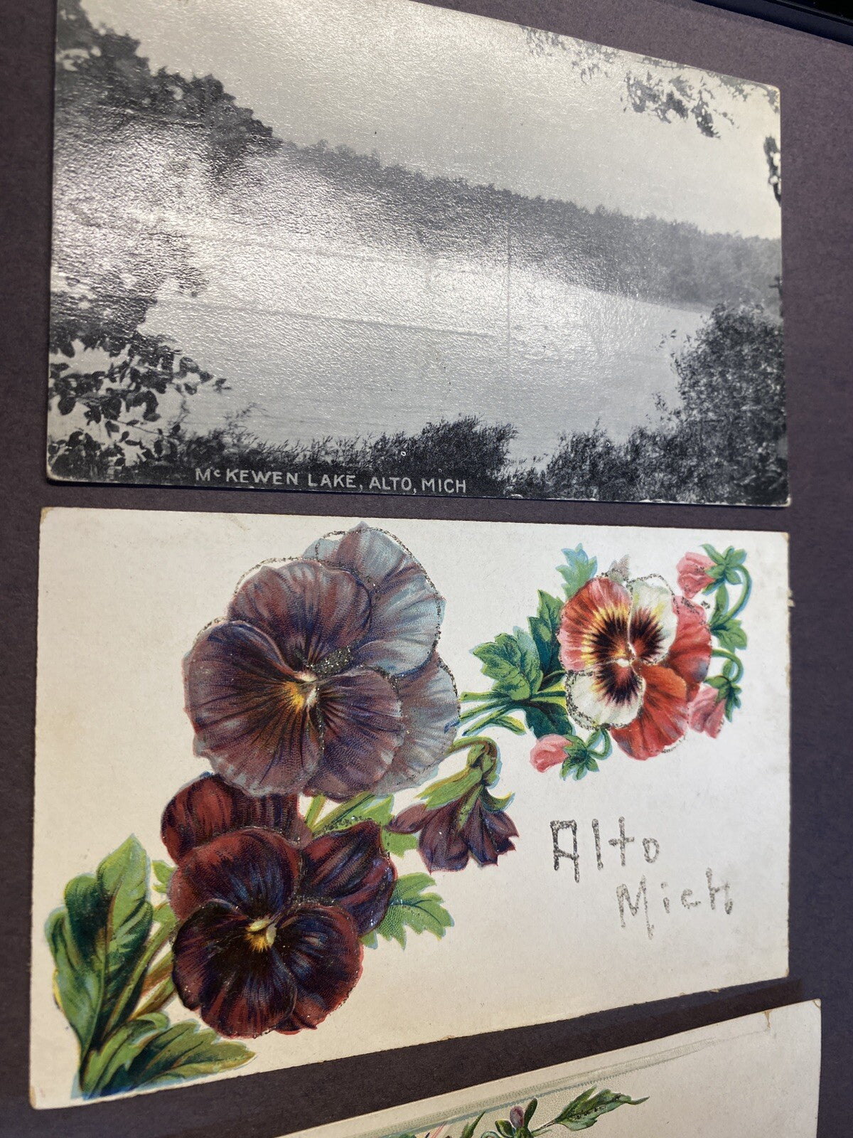 Lot of 3 Alto Michigan Mich MI Postcard Flowers & McKewen Lake