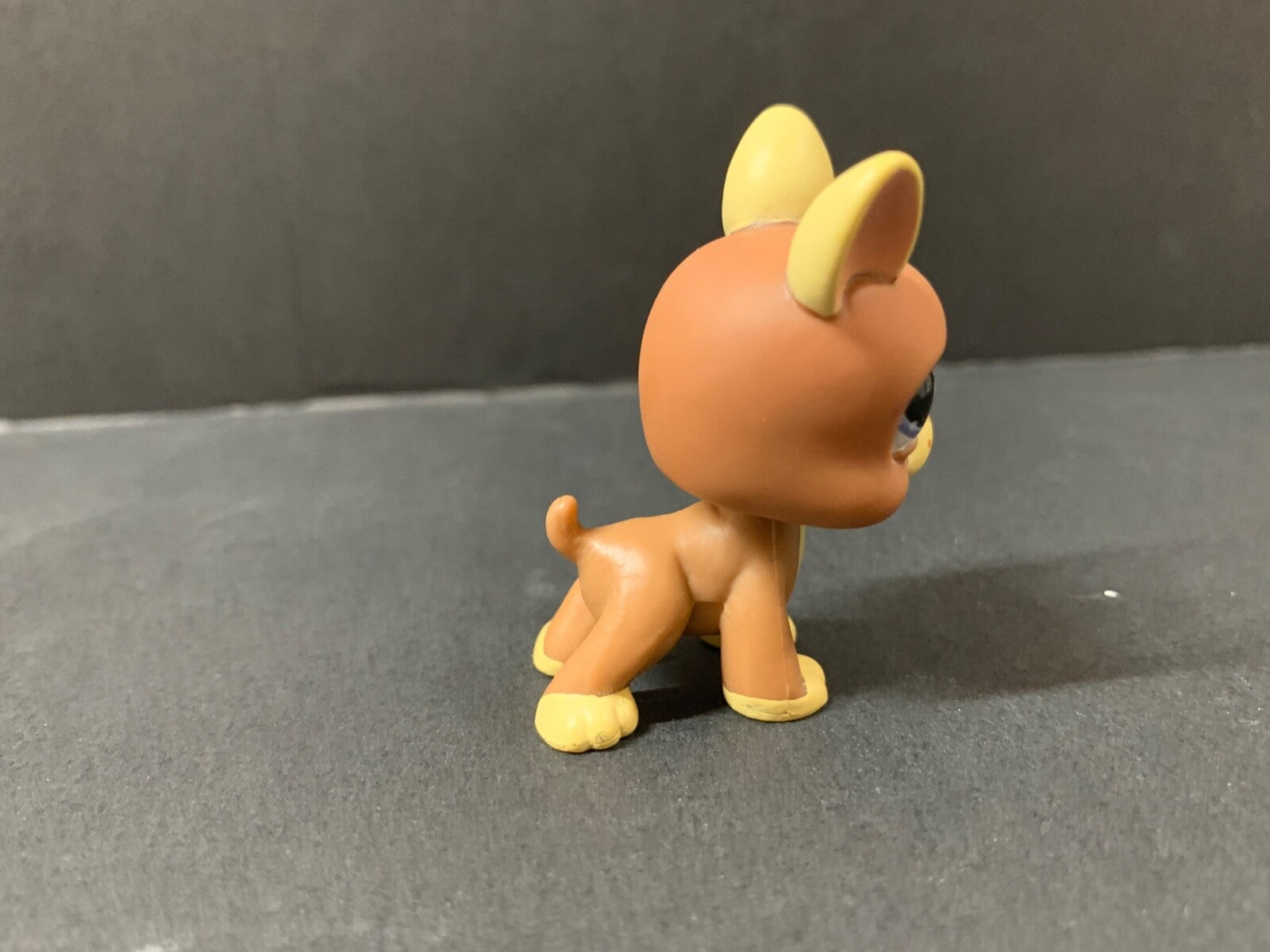 Littlest Pet Shop #1789 Brown & Tan Boston Terrier Dog Authentic LPS Dog