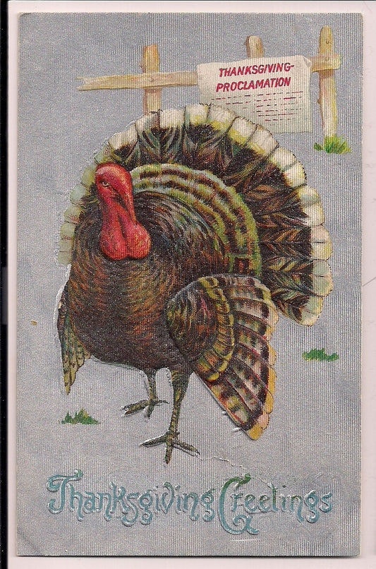 Thanksgiving Proclamation Silver Embossed Tom Turkey Postcard