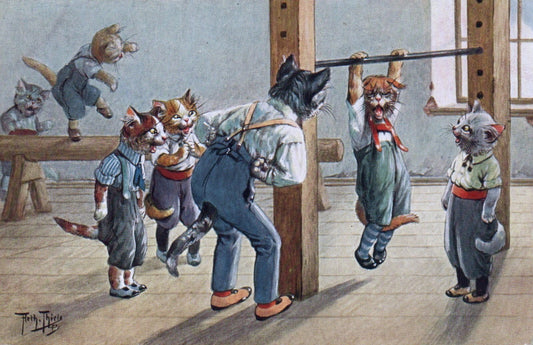 Artist Signed Arthur Thiele Kittens in Gym Class Funny Cat Postcard