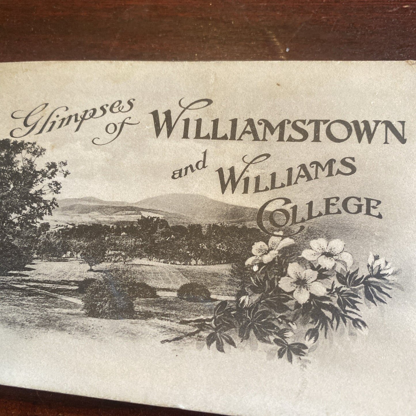Glimpses of Williamstown & Williams College Massachusetts MA  Postcard