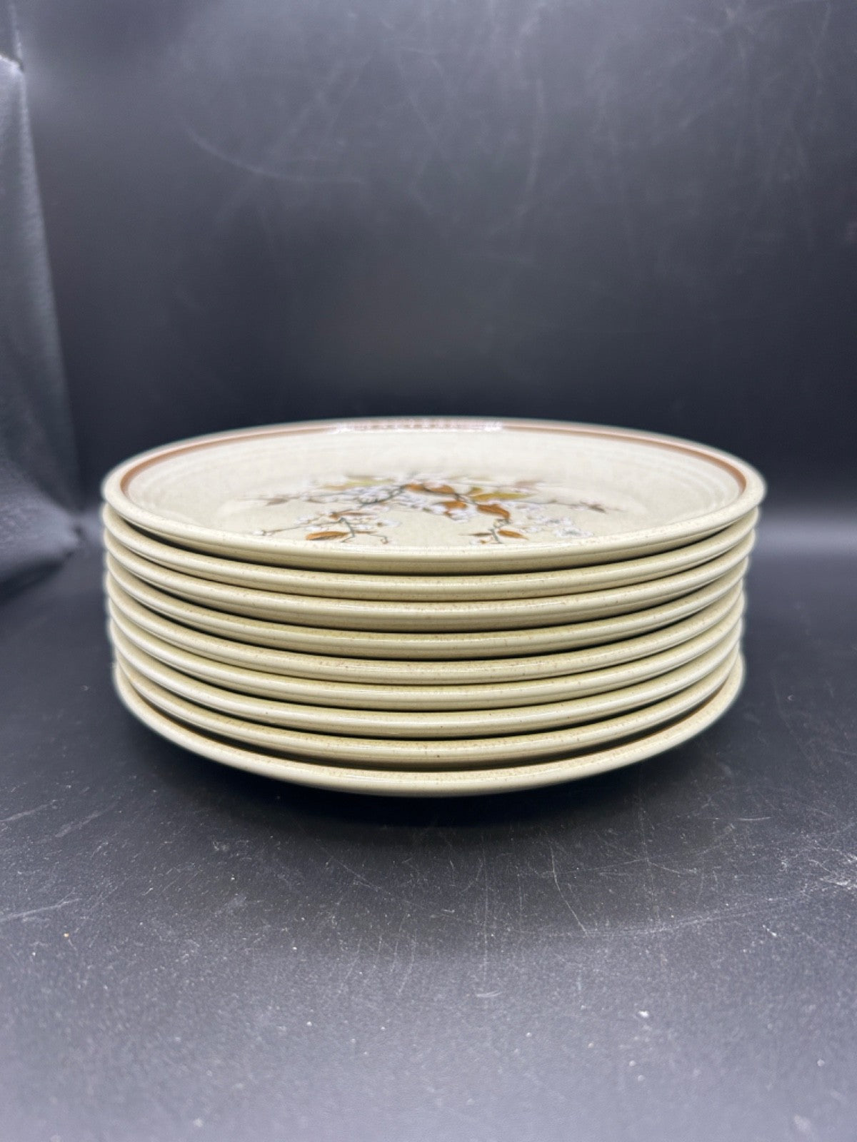 Royal Doulton WILD CHERRY 9 Salad Plates Made in England Lambethware 1979