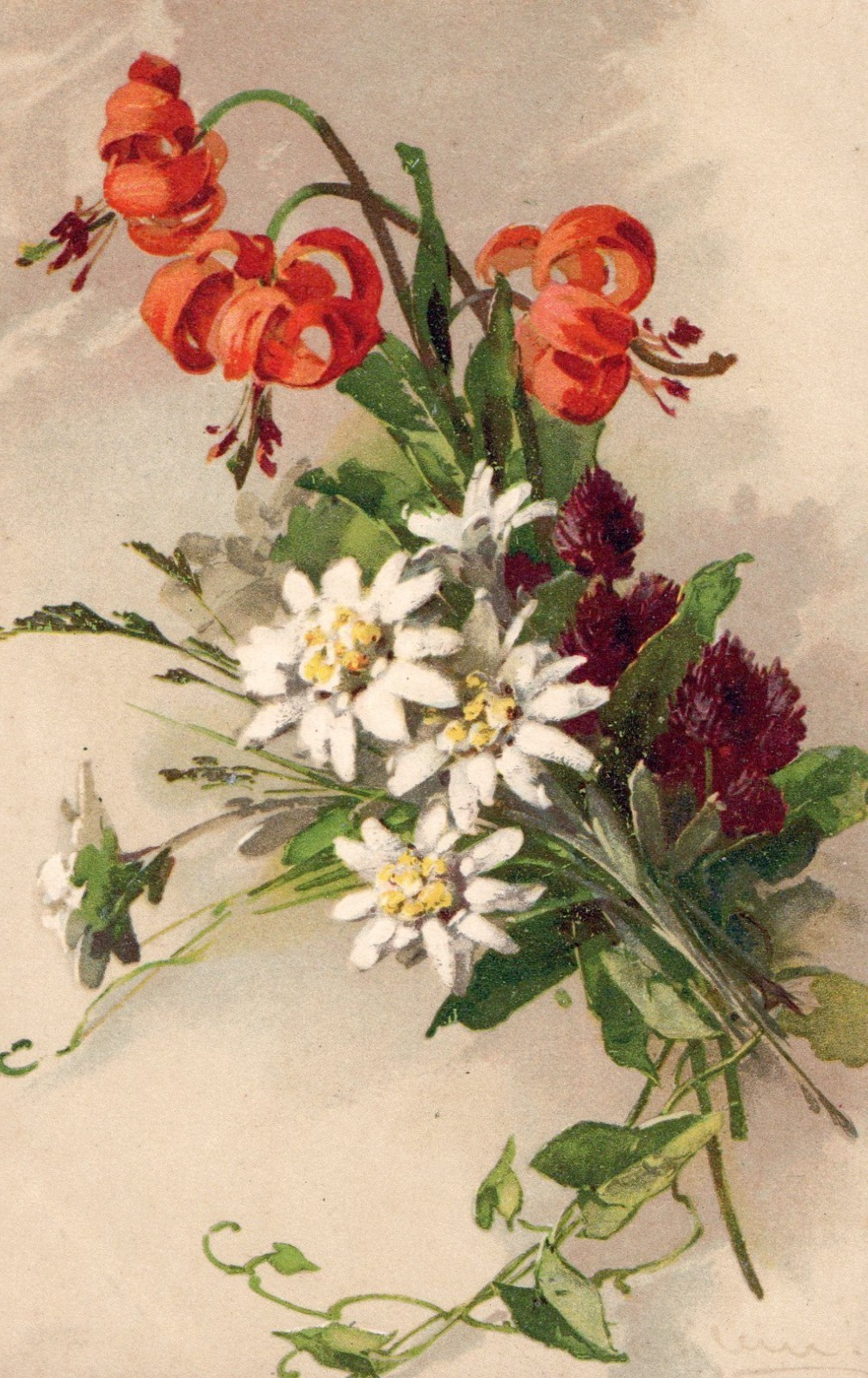 Artist Signed Catherine Klein Floral Daisys Postcard