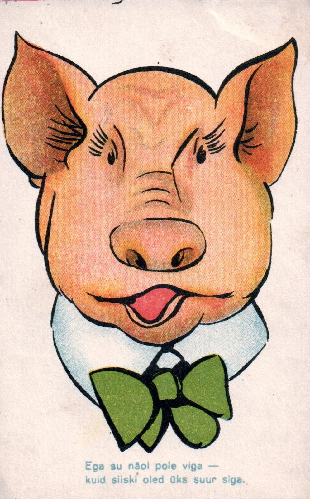 Cartoon Pig with Green Bowtie Vintage Pig Postcard