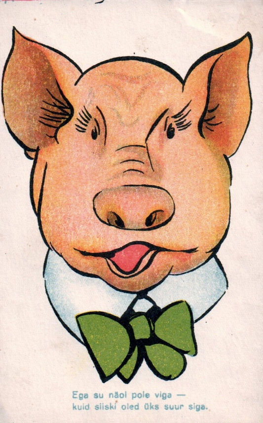 Cartoon Pig with Green Bowtie Vintage Pig Postcard