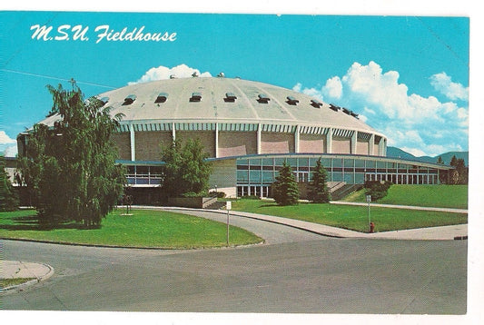 MSU Fieldhouse Montana State University College Montana MT  Postcard