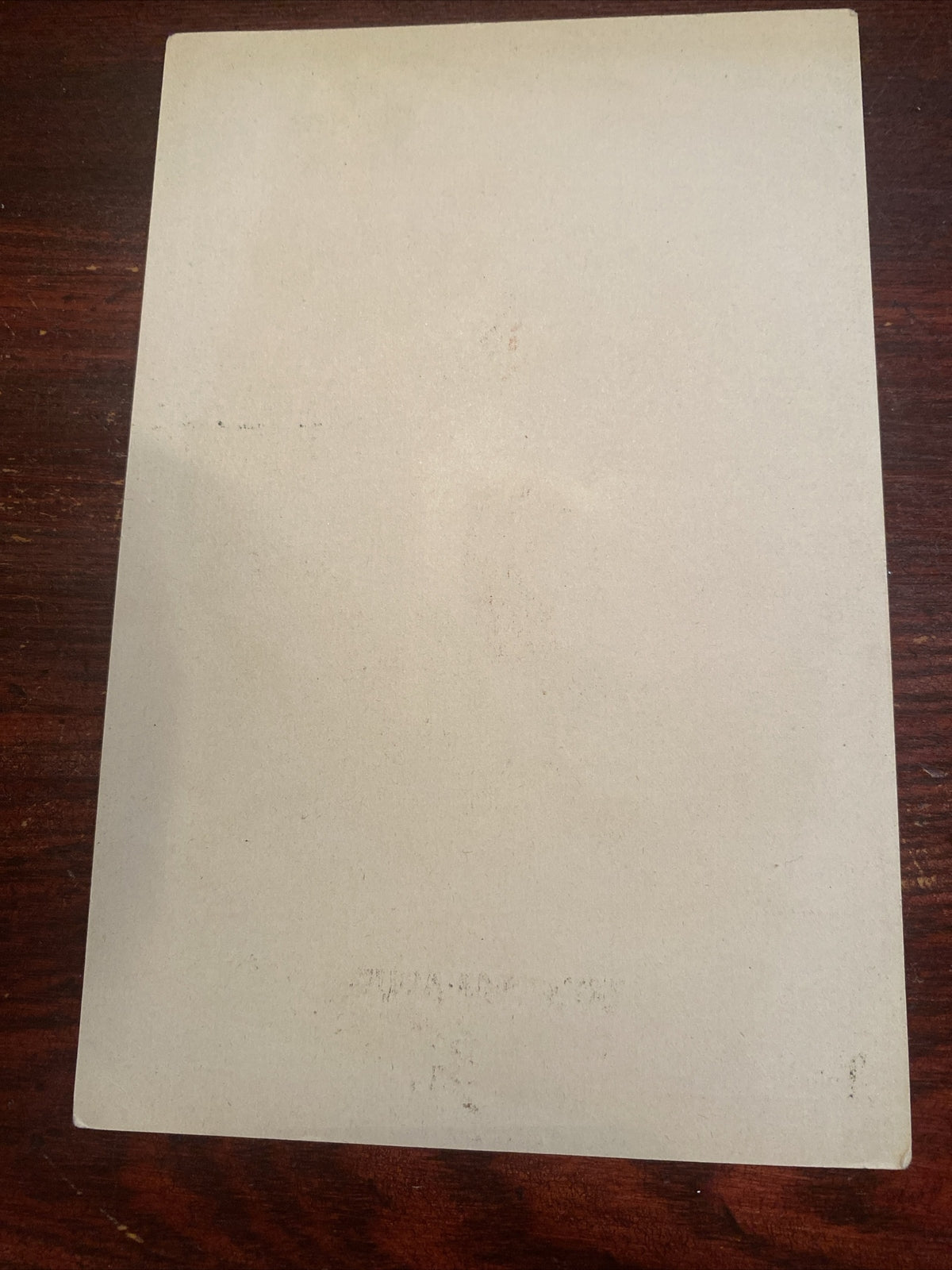 Reward of merit Vintage Victorian School Ephemera  Gibson & Co Bird Rose