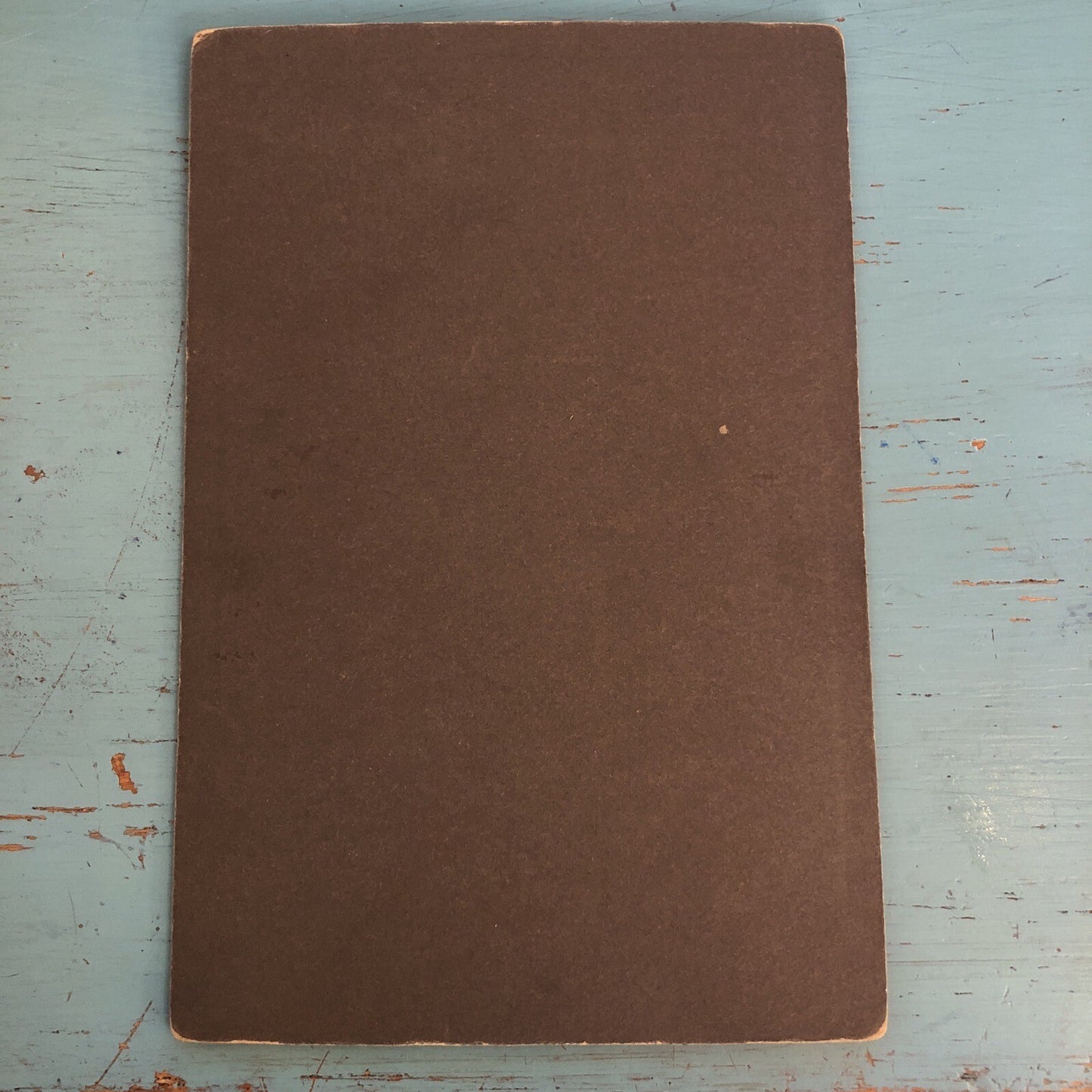 Real Photo CDV Young Girl fancy Dress Flowers Big Bow in Hair "Helen Anderson"