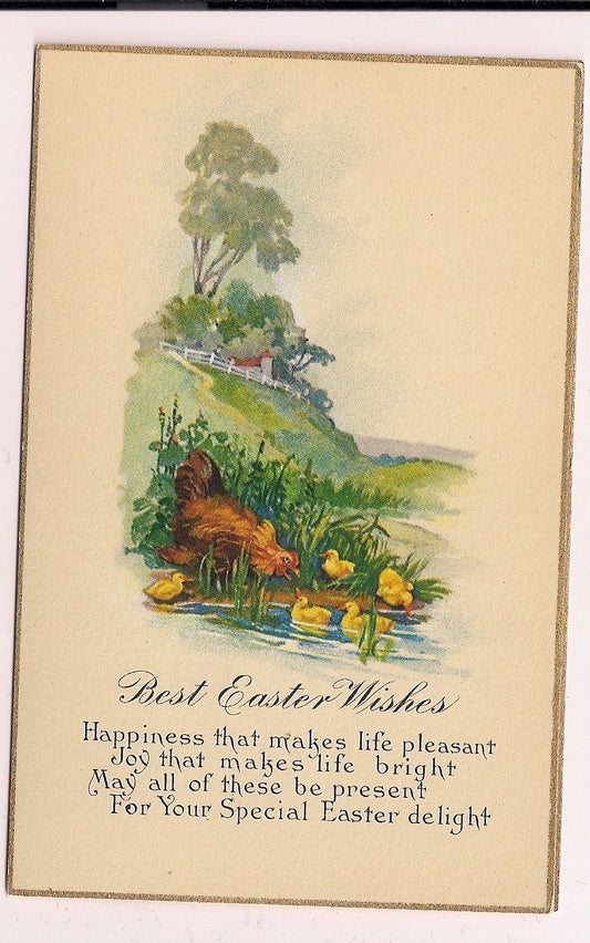 Yellow  Rooster Duck Swimming in Lake Easter Postcard