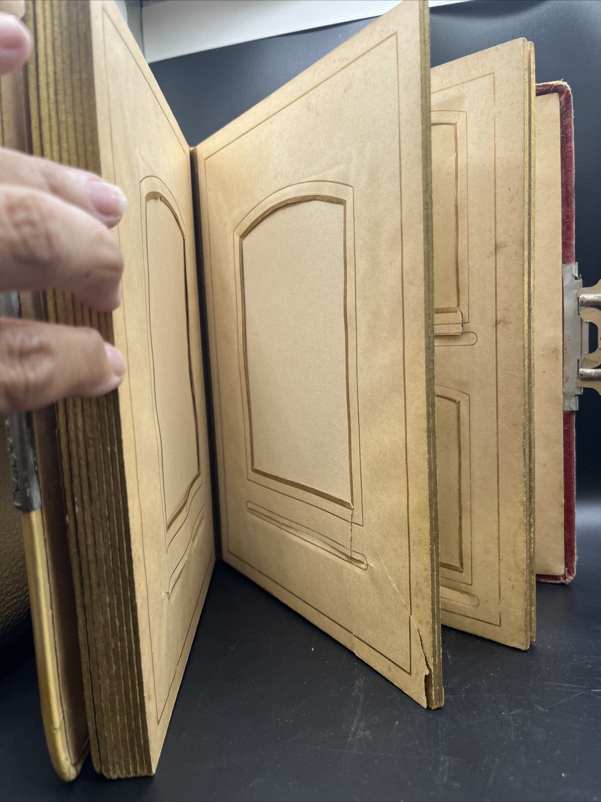 Antique Victorian Celluloid Photo Album