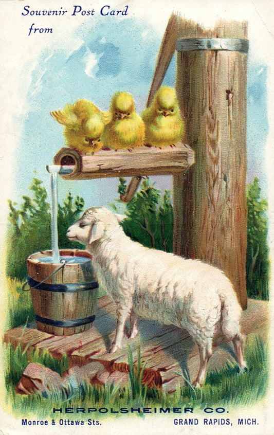 Souvenir From Herpolsheimer Co. Monroe & Ottawa Streets Grand Rapids MI Postcard