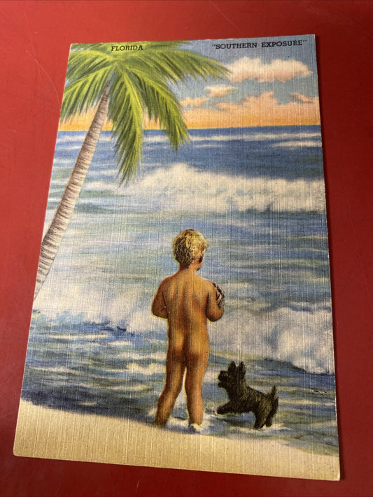 Northern Exposure Baby Boy on beach Surf with Black Scotty dog Vintage Postcard