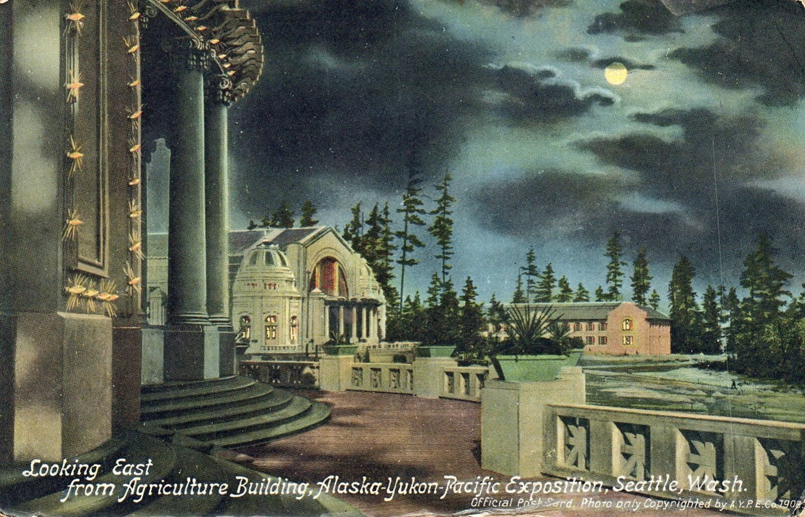 Looking East from Agriculture Building in Seattle Washington WA Postcard