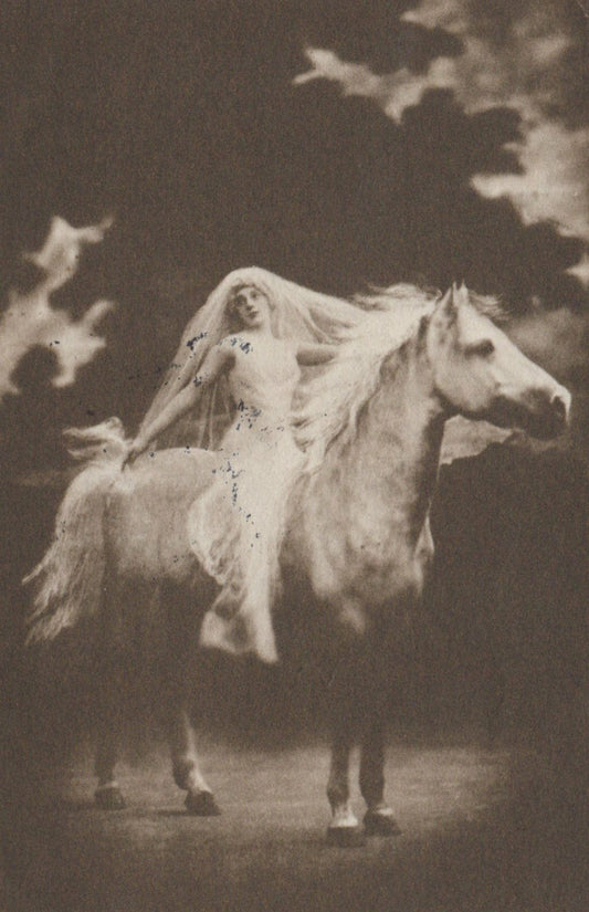 Bride Sitting on Dapple Gray Horse "The Elopement" Horses Animals Postcard