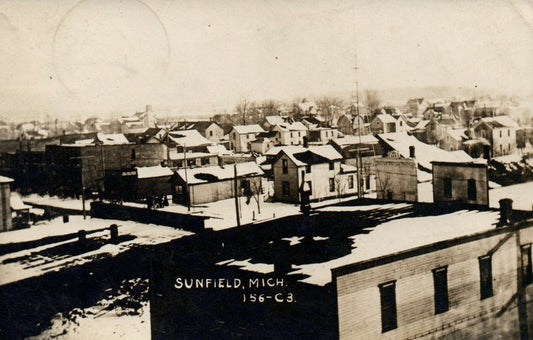 1909 Real Photo Aerial Sunfield Vintage Michigan MI Postcard Houses 