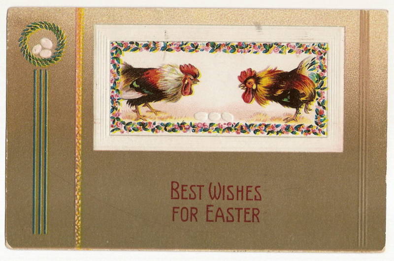 Rooster standoff Fight Inspecting Egg Easter Postcard Series 209-3 Postcard