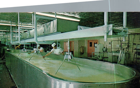 Star Valley Dairy Farms Inc Thayne  Wyoming WY Postcard