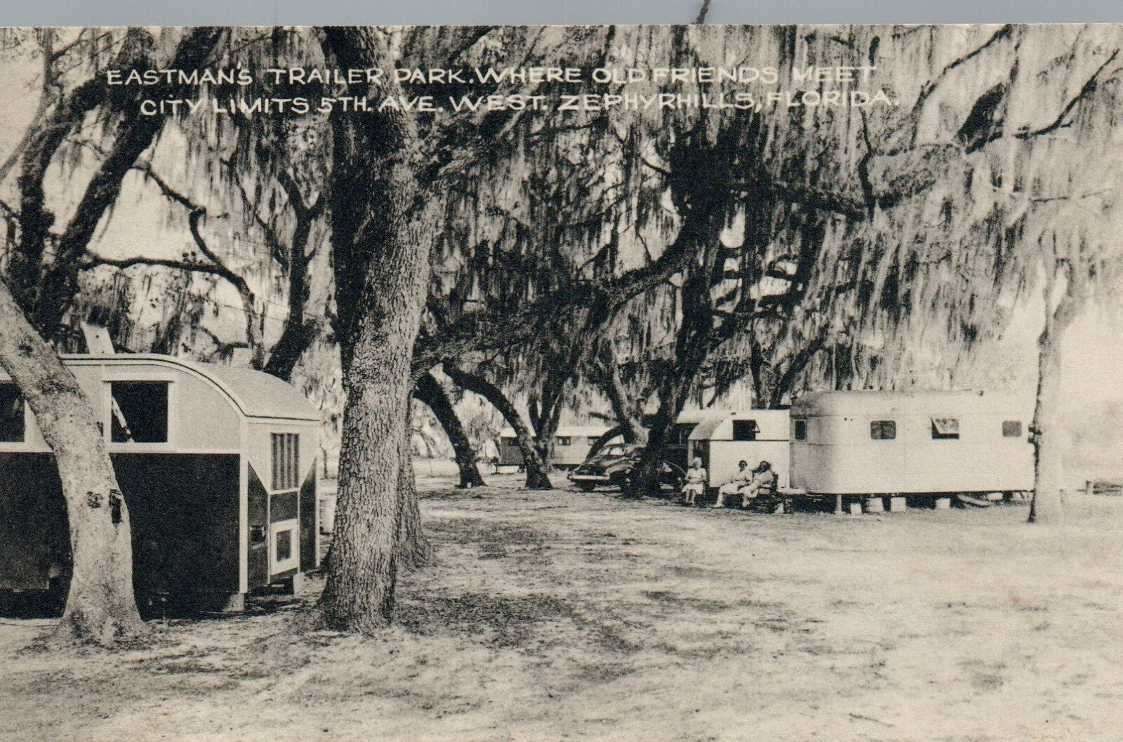 Eastman's Trailer Park Zephyrhills FL Florida  Old Trailers Willow Trees
