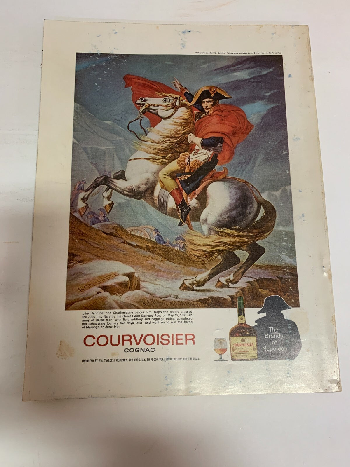 National Horse Show 1883-1970 Eight Seventh Year Official Magazine Bonaparte