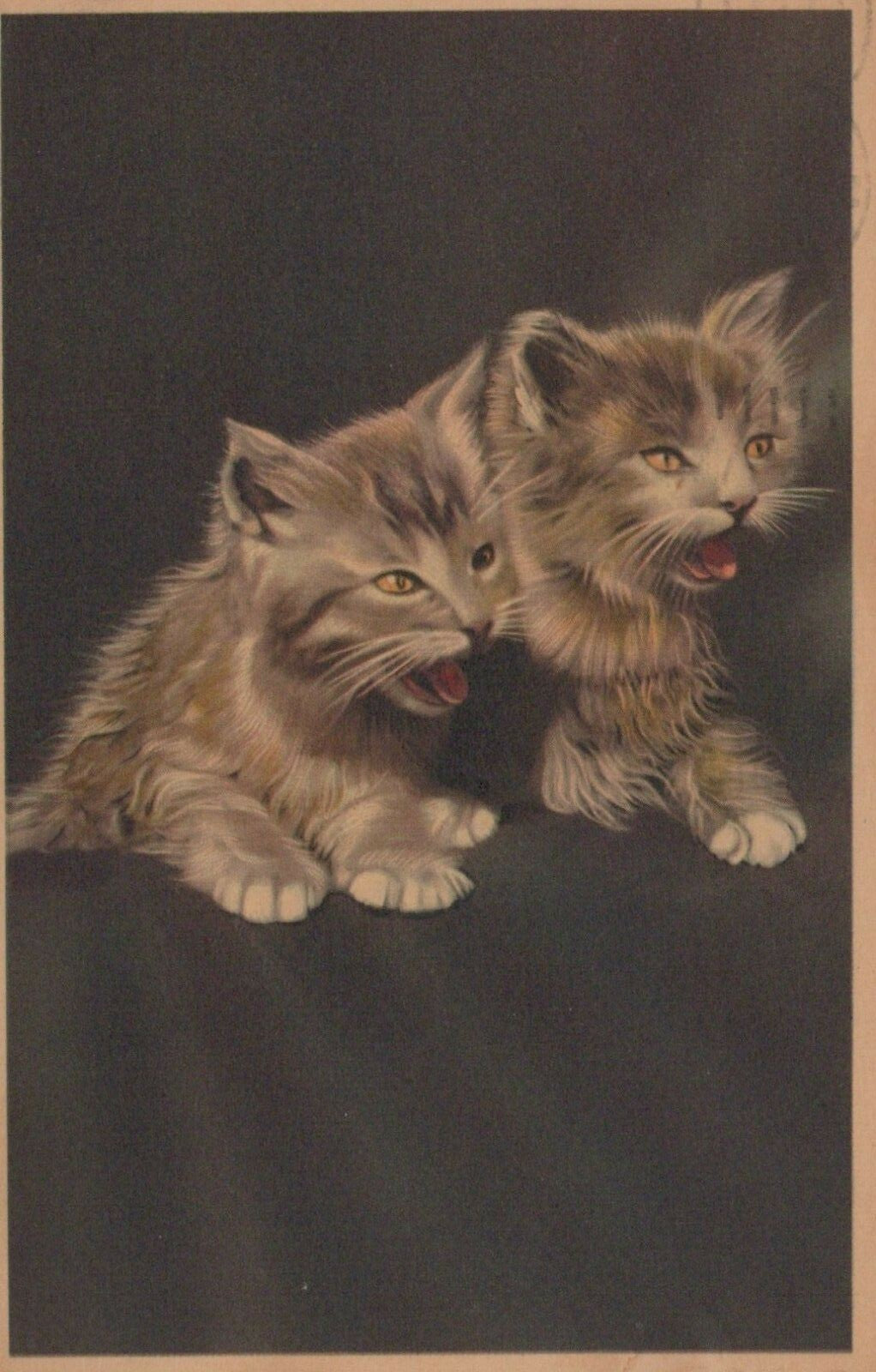 Two Kittens with Tongues Sticking Out as if to say "Blah!" Cat Animal Postcard