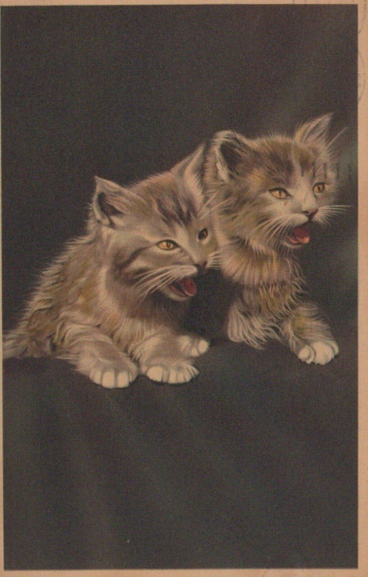 Two Kittens with Tongues Sticking Out as if to say "Blah!" Cat Animal Postcard