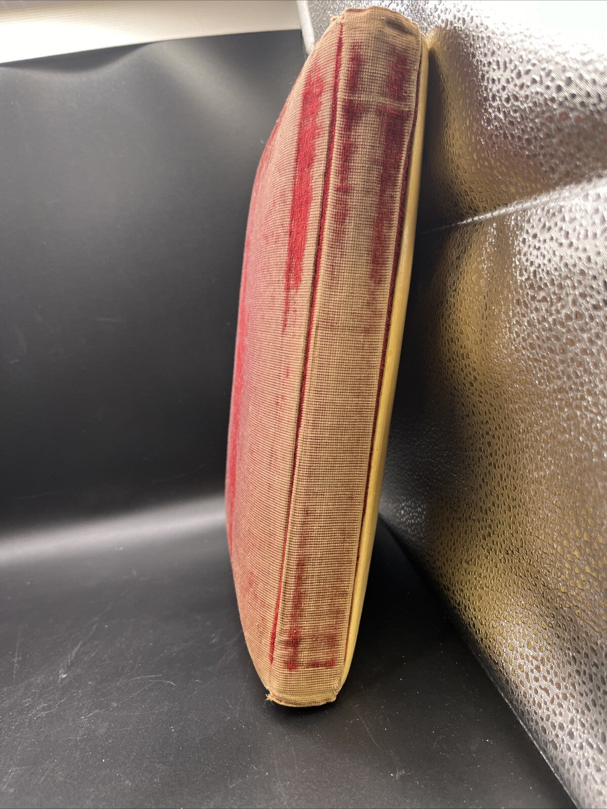 Antique Victorian Celluloid Photo Album