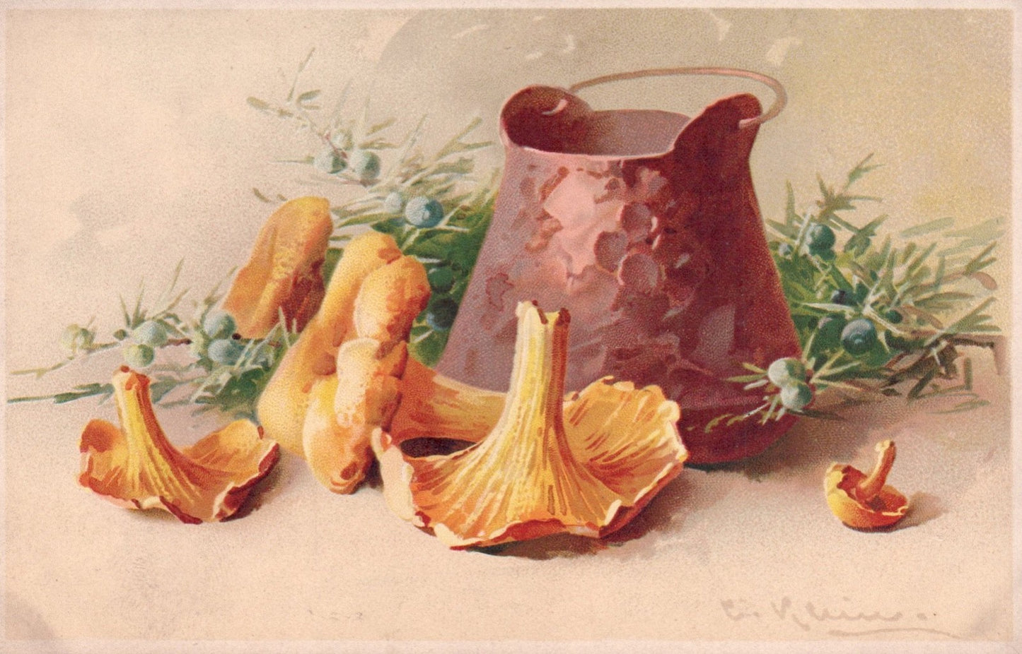 Artist Signed Catherine Klein Mushrooms and Copper Pitcher