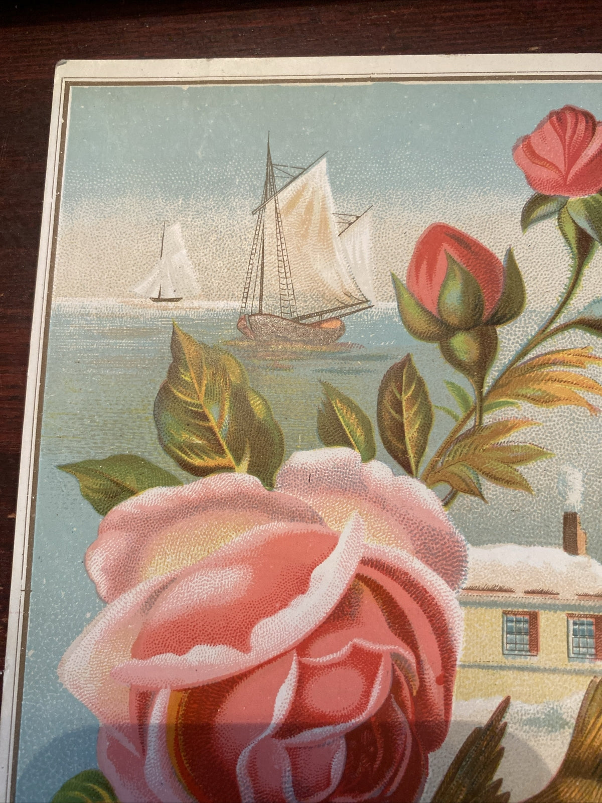 Reward of merit Vintage Victorian School Ephemera  Gibson & Co Bird Rose