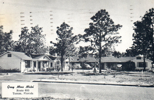 Gray Moss Motel Route 600 in Tampa Florida Fl Vintage Postcard