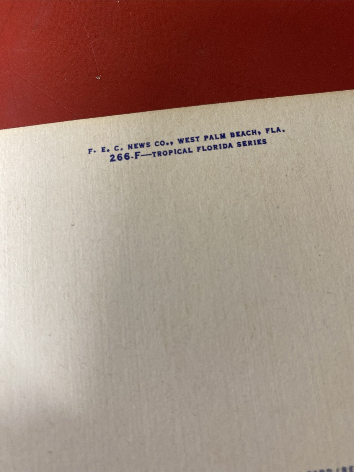 Northern Exposure Baby Boy on beach Surf with Black Scotty dog Vintage Postcard