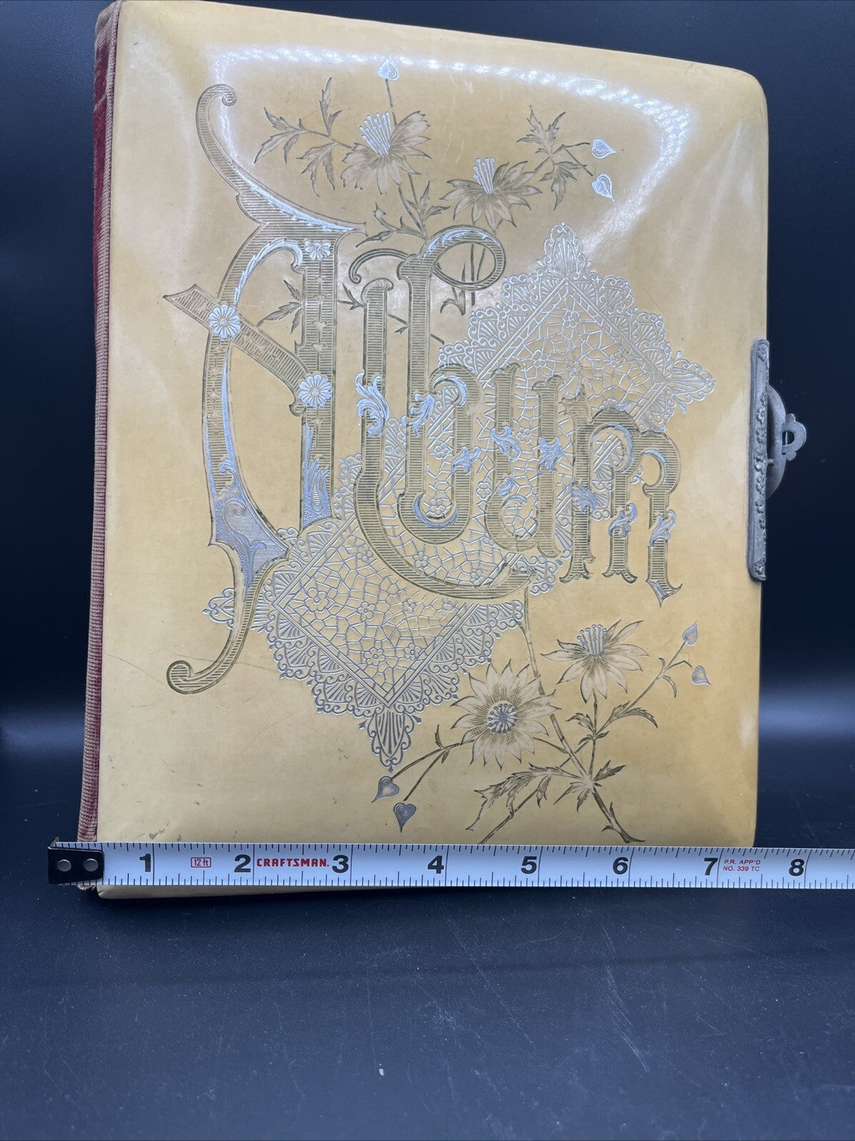 Antique Victorian Celluloid Photo Album