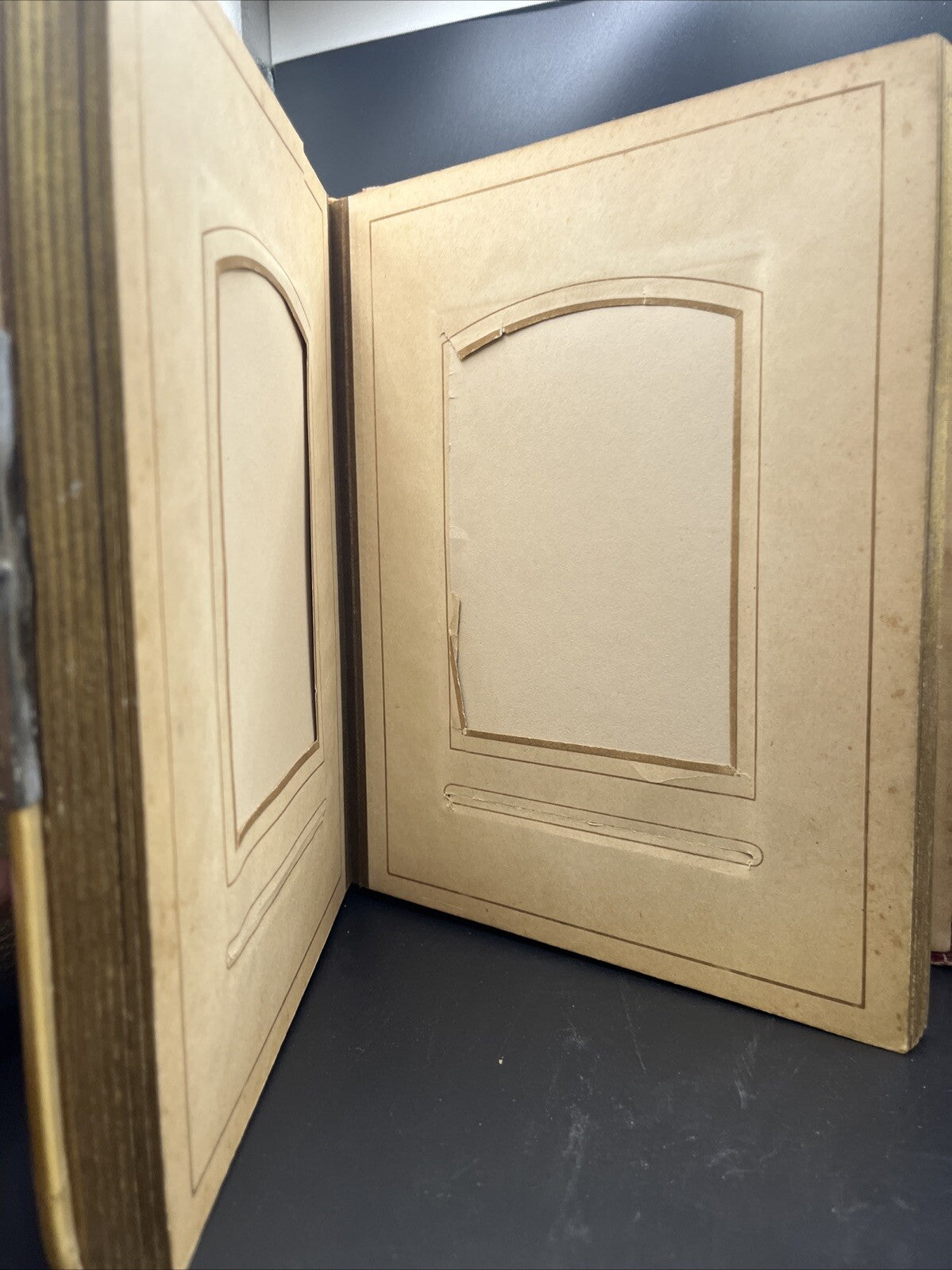 Antique Victorian Celluloid Photo Album