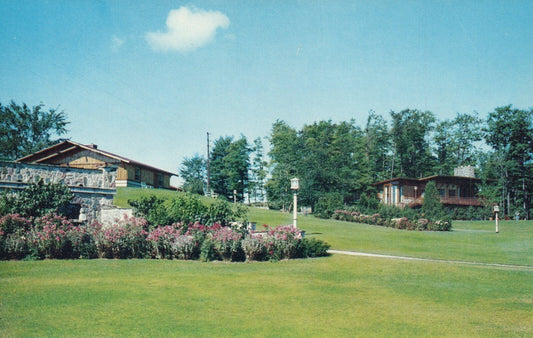 Hidden Valley Gaylord Flowers and Houses MI Michigan Mich Postcard