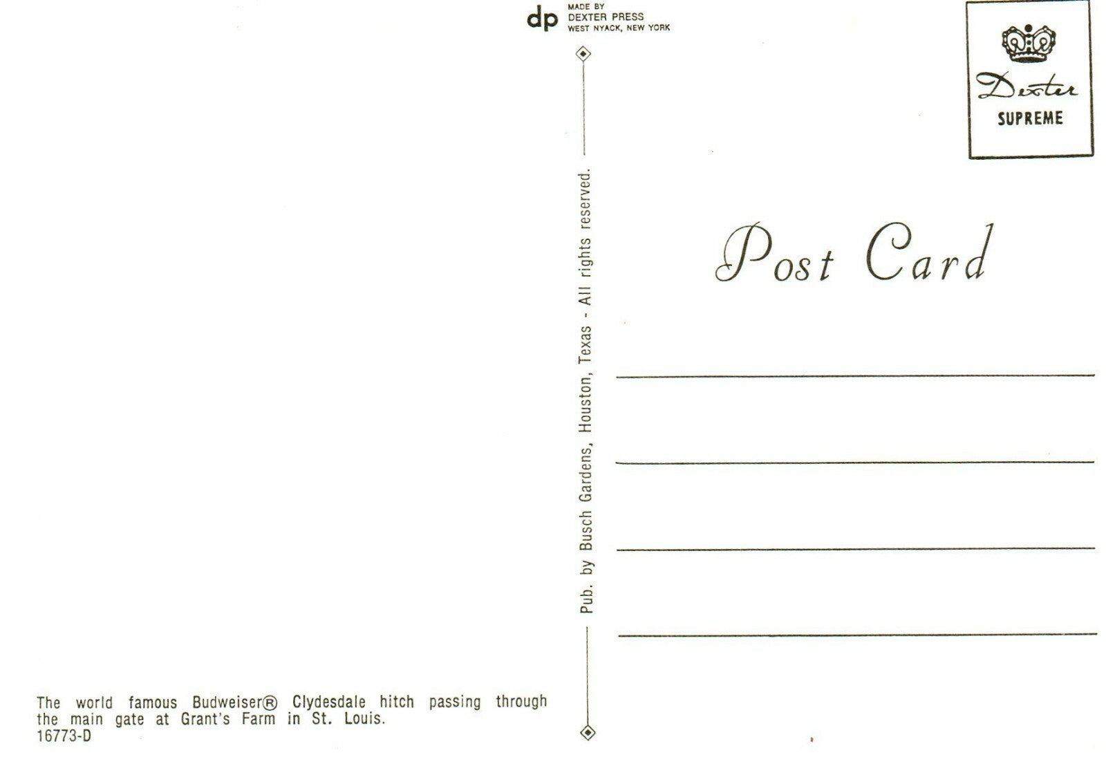 Budweiser Champion Clydesdale Passing Through Main Gate Beer Postcard