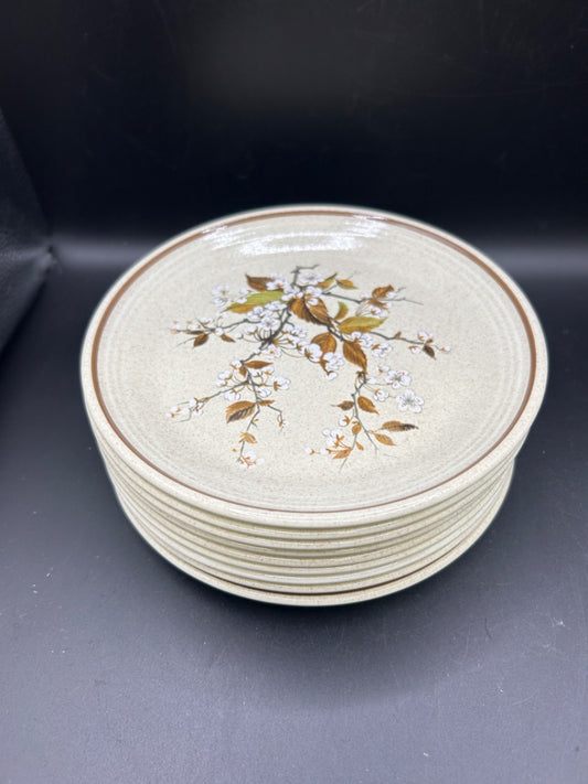 EBAY 8 Dinner Plates