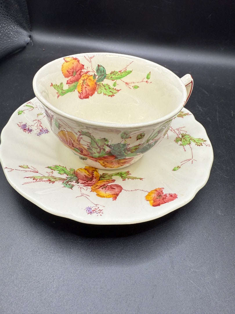 1 Vintage Royal Doulton Sherborne Flat Cup and Saucer Set D5915