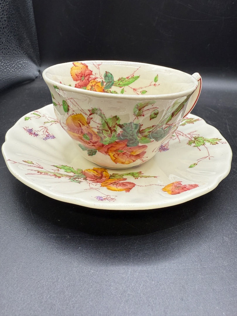 1 Vintage Royal Doulton Sherborne Flat Cup and Saucer Set D5915