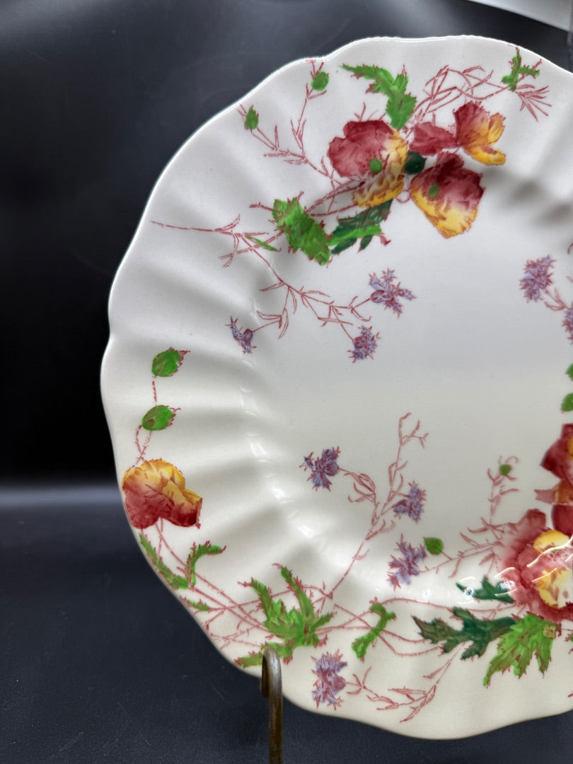 Vintage Royal Doulton SHERBORNE 9.5" Dinner Plate - 9 Available